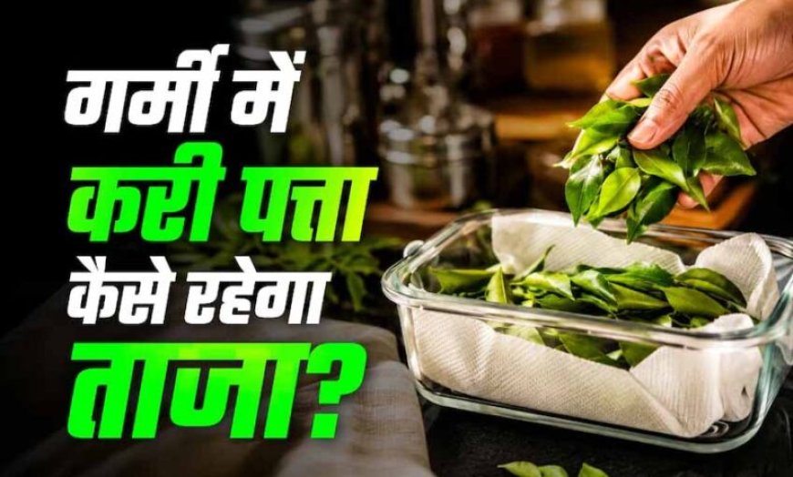 करी पत्ता स्टोर करने के आसान तरीके: महीनों तक रहेगा फ्रेश और हरा-भरा