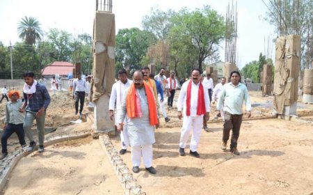 सुशासन तिहार में उप मुख्यमंत्री  अरुण साव निकले फील्ड पर, कार्यों की धीमी प्रगति पर जताई नाराजगी