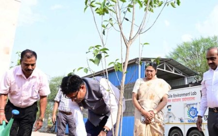 विश्व पर्यावरण दिवस पर मंत्री ओपी चौधरी ने किया मौल पौधे का रोपण