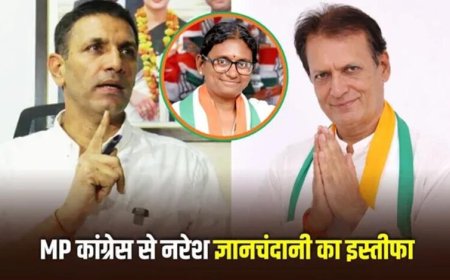 MP कांग्रेस में बगावत के सुर! मीनाक्षी नटराजन की उम्मीदवारी से नाराज नरेश ज्ञानचंदानी ने भेजा इस्तीफा