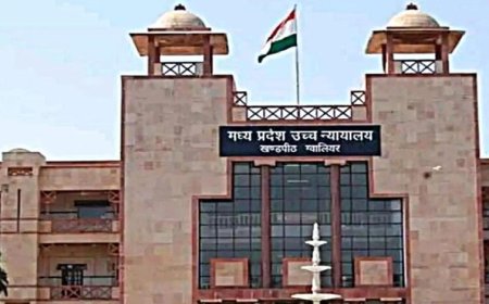 पेड़ काटने पर सख्ती! HC में पेश हुई ट्री ट्रांसलोकेशन पॉलिसी-2026, एक पेड़ के बदले लगाने होंगे 20 पौधे