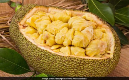 कटहल के बीज नहीं फेंके! सेहत और स्वाद का पावरहाउस हैं ये
