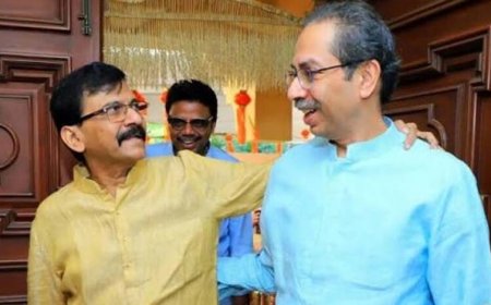 शिंदे बनाम ठाकरे: ‘कुत्ता-शेर’ बयान पर महाराष्ट्र की सियासत गरमाई, संजय राउत का पलटवार