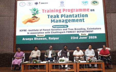 रायपुर ; टिश्यू कल्चर तकनीक से किसानों को मिलेगा अधिक लाभ : वन मंत्री केदार कश्यप