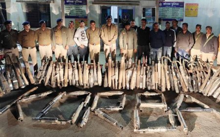 बिलासपुर में कानफोड़ू साइलेंसर और प्रेशर हॉर्न पर पुलिस का एक्शन, वाहन चालकों में मचा हड़कंप