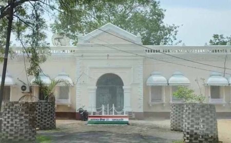 CG में रिश्वत मांगना पड़ा भारी, कलेक्टर ने सहायक ग्रेड-02 कर्मचारी को किया निलंबित