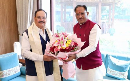 केंद्रीय स्वास्थ्य मंत्री जेपी नड्डा से मिले मुख्यमंत्री विष्णुदेव साय, स्वास्थ्य सेवाओं और किसानों के लिए खाद-बीज उपलब्धता पर हुई विस्तृत चर्चा
