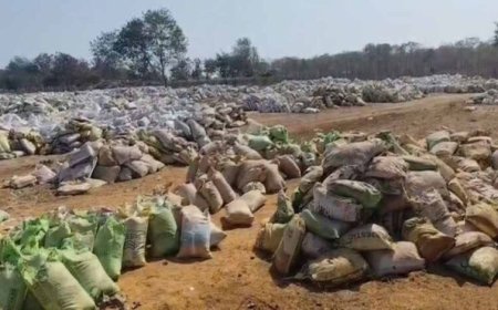 Bastar में उठाव नहीं होने से करोड़ों की धान सड़ी, किसानों की मेहनत पर फिरा पानी