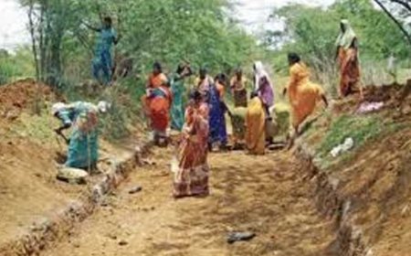 जुलाई से ‘वीबीजीराम-जी’ योजना होगी लागू, मध्य प्रदेश में तैयारियां पूरी