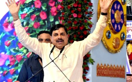 CM मोहन यादव की नीमच को बड़ी सौगात, 500 मेगावॉट सोलर पार्क का करेंगे उद्घाटन