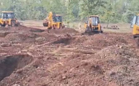खंडवा में 200 एकड़ जंगल से हटाया अतिक्रमण, 30 JCB और 600 कर्मचारियों की बड़ी कार्रवाई
