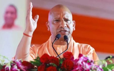 युवाओं के कौशल विकास को मिलेगा नया विस्तार, प्रदेश में 800 से अधिक ट्रेनिंग पार्टनर्स जुड़े