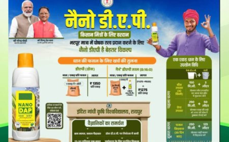 रायपुर : विशेष लेख : नैनो उर्वरक- छत्तीसगढ़ के खेती-किसानी में आई नई क्रांति