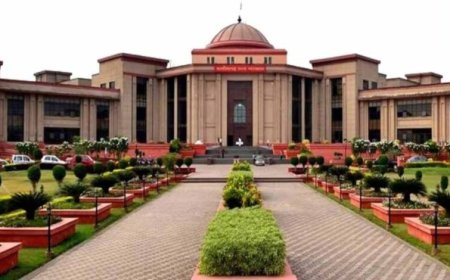 हाथी प्रभावित क्षेत्र में 33 केवी लाइन विस्तार पर हाईकोर्ट सख्त, सरकारों और बिजली कंपनी से मांगा जवाब