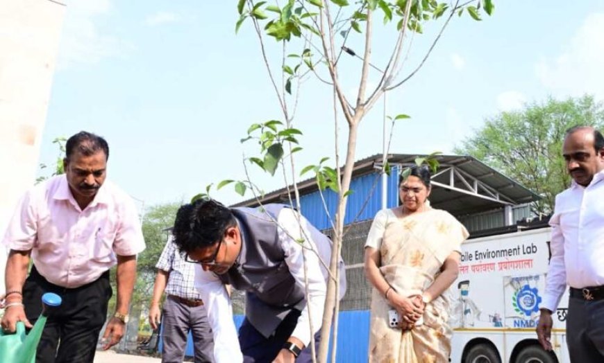 विश्व पर्यावरण दिवस पर मंत्री ओपी चौधरी ने किया मौल पौधे का रोपण