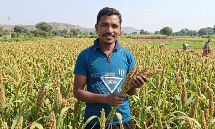 मिलेट से बढ़ी आय, किसानों के जीवन में आई खुशहाली श्री अन्न की खेती बन रही लाभ का नया माध्यम -