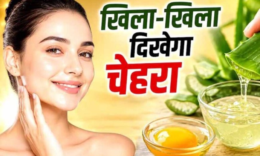 महंगे सीरम को कहें अलविदा: अंडे की जर्दी से पाएं नैचुरल ग्लोइंग स्किन का आसान उपाय