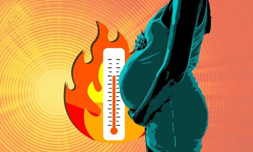 बढ़ता तापमान बना नई चिंता, प्रेग्नेंसी पर असर से लाखों बच्चों में ठिगनेपन का खतरा