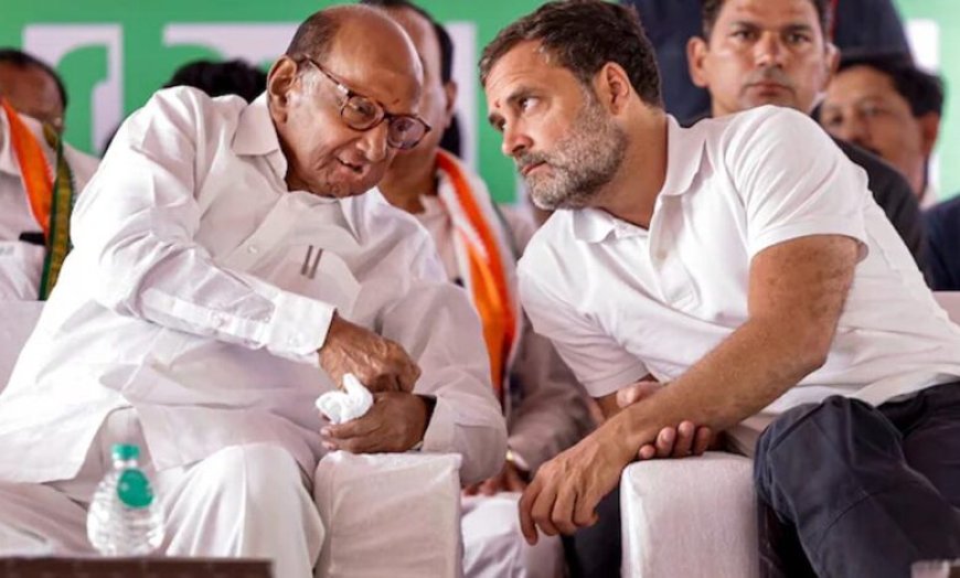 कांग्रेस में होगा शरद पवार की NCP(SP) का विलय? हाईकमान के प्रस्ताव से सियासत गरम, पार्टी में बढ़ी कलह