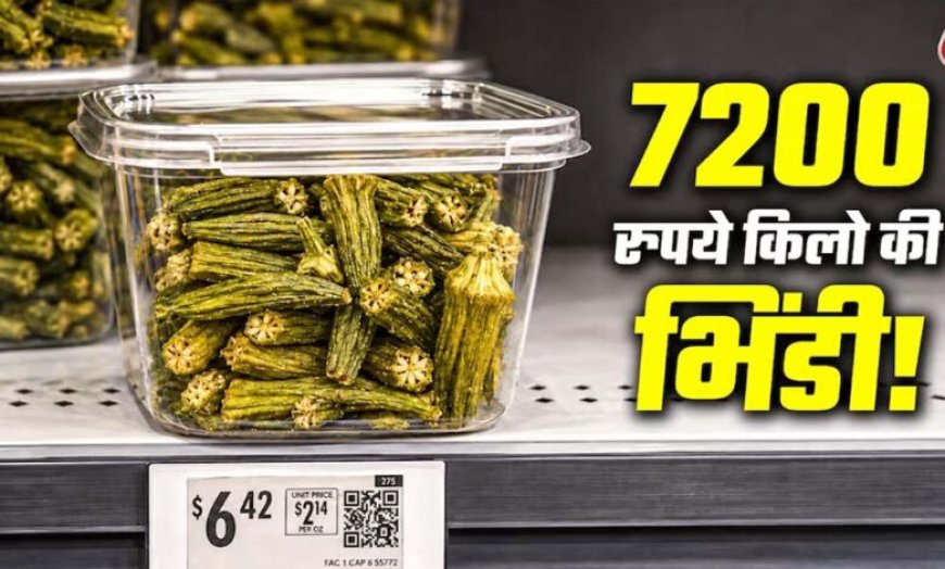 अमेरिका में 540 रुपये की भिंडी, कीमत सुनकर रह जाएंगे हैरान