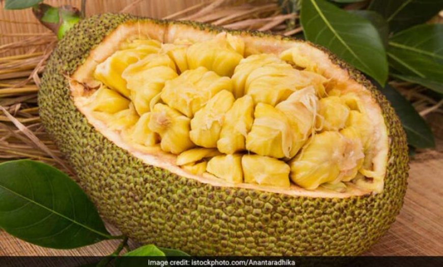 कटहल के बीज नहीं फेंके! सेहत और स्वाद का पावरहाउस हैं ये