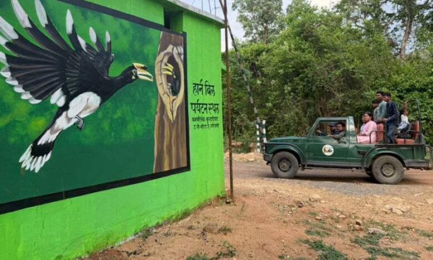 वन मंत्री केदार कश्यप की पहल से उदंती-सीतानदी टाइगर रिजर्व में शुरू होगी हॉर्नबिल सफारी