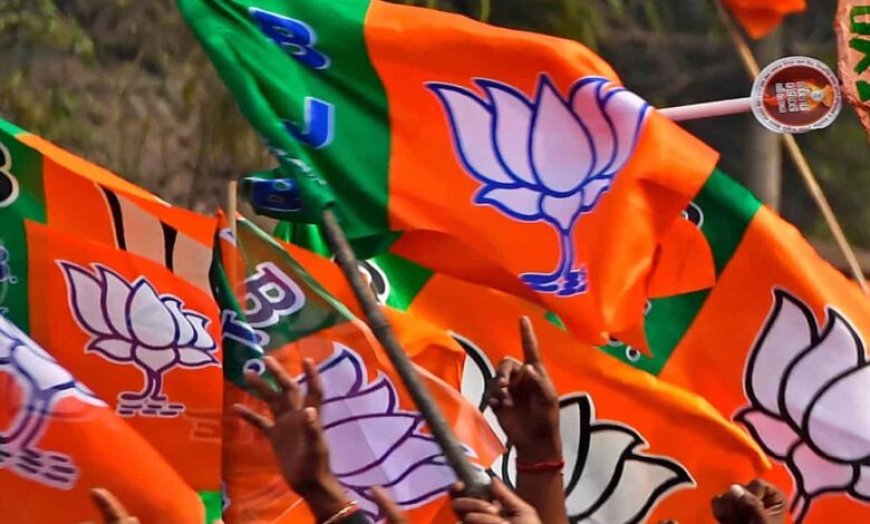 भाजपा कार्यसमिति में बदला सियासी समीकरण, 33% महिला भागीदारी और पहली बार मुस्लिम महिला को जगह
