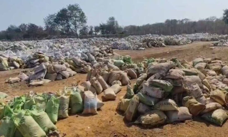 Bastar में उठाव नहीं होने से करोड़ों की धान सड़ी, किसानों की मेहनत पर फिरा पानी