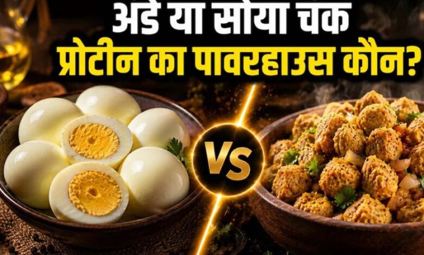 अंडा vs सोया चंक्स: प्रोटीन के मामले में कौन है ज्यादा फायदेमंद, जानिए एक्सपर्ट्स की राय