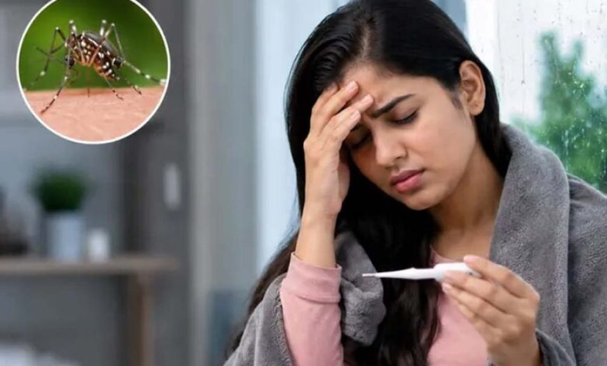मानसून में मलेरिया का खतरा बढ़ा: जानें इसके शुरुआती लक्षण और समय रहते कैसे पहचानें
