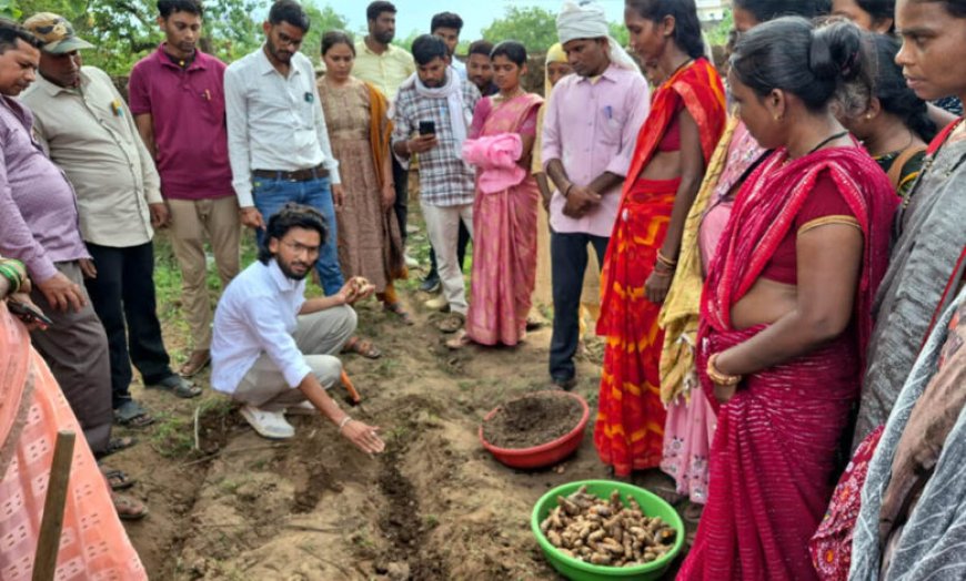 ​धमतरी का ‘नगरी’ बनेगा हल्दी उत्पादन का नया हब: 250 किसानों ने थामा वैज्ञानिक खेती का हाथ, 250 टन पैदावार का लक्ष्य