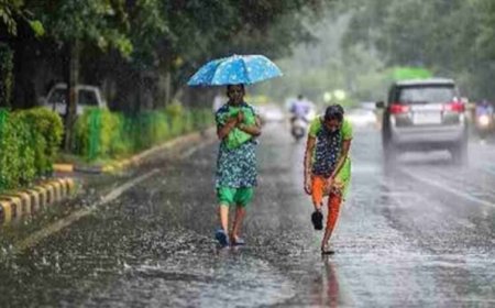 छत्तीसगढ़ में मानसून होगा और सक्रिय, अगले 24 घंटे भारी बारिश का अलर्ट जारी