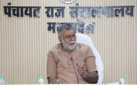 पंचायतों को बनाए आत्मनिर्भर और रोजगारोन्मुखी : मंत्री पटेल