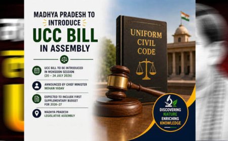 MP में UCC विधेयक की तैयारी तेज, मतांतरित आदिवासियों को लेकर समिति कर रही कानूनी मंथन
