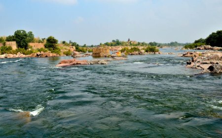 बेतवा नदी को प्रदूषण मुक्त बनाने की तैयारी, भोपाल समेत 3 जिलों में बनेगी साइंटिफिक प्लानिंग