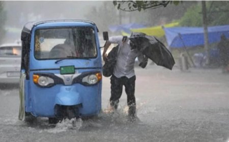 MP Weather: 13 जिलों में भारी बारिश का अलर्ट, आज उज्जैन और ग्वालियर-चंबल पहुंचेगा मानसून
