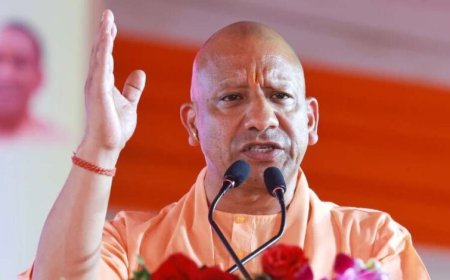 सीएम योगी शुक्रवार को उत्तर प्रदेश आम महोत्सव का करेंगे शुभारंभ