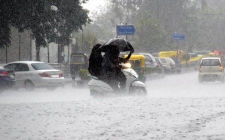 MP Weather: मध्य प्रदेश में एक्टिव हुआ मॉनसून, झमाझम बारिश; इन जिलों के लिए रेड अलर्ट जारी