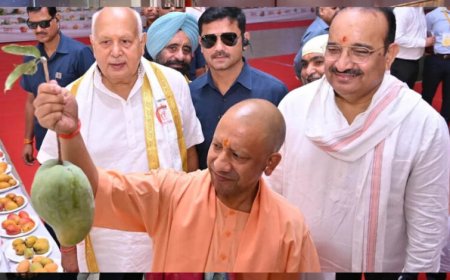 UP Mango Festival: आधा किलो का आम देख CM योगी हुए खुश, प्रदर्शनी में आकर्षण का बना केंद्र