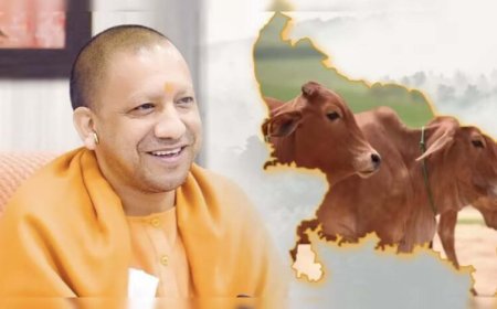 नंदिनी योजना से यूपी में डेयरी और ग्रामीण रोजगार को बढ़ावा