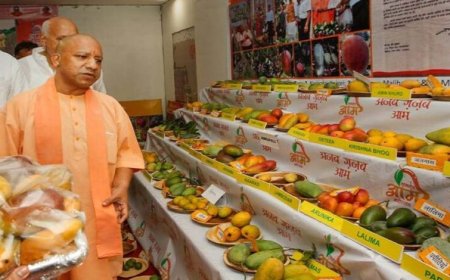 उत्तर प्रदेश आम महोत्सव 2026: सीएम योगी ने बताया—राज्य देश के 26% आम उत्पादन का केंद्र