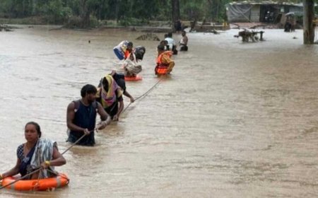 हासमुंद में उफनते नाले में फंसे 14 मजदूरों का सेना ने किया सफल रेस्क्यू