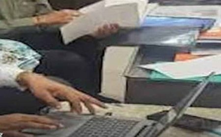 रायपुर में फर्जी अंकसूची के सहारे GST विभाग में मिली नौकरी, दो कर्मचारी बर्खास्त