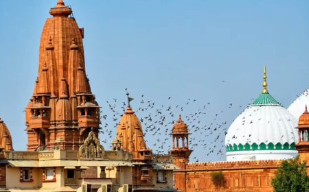मथुरा श्रीकृष्ण जन्मभूमि के लिए अयोध्या जैसी कार सेवा का ऐलान, जानें कब और कैसे होगा आयोजन