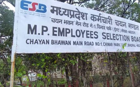 MP SI भर्ती का फाइनल रिजल्ट जारी! 436 अभ्यर्थियों का चयन, संजय परमार बने प्रदेश टॉपर