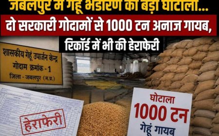 जबलपुर में गेहूं भंडारण का बड़ा घोटाला, दो सरकारी गोदामों से 1000 टन अनाज गायब
