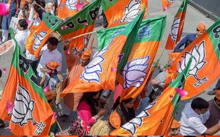 18-19 जुलाई को BJP की बड़ी बैठक! वरिष्ठ नेताओं और पदाधिकारियों के साथ संगठनात्मक रणनीति पर होगा मंथन