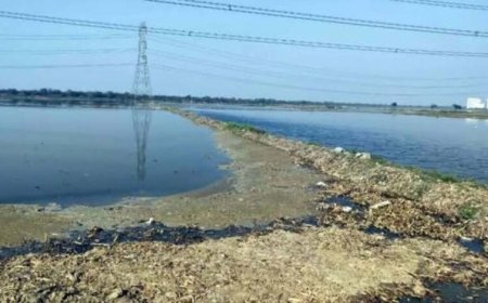 नजफगढ़ ड्रेन का गंदा पानी साफ करने को सरकार बनाएगी 29 नए डीएसटीपी प्लांट जल्द