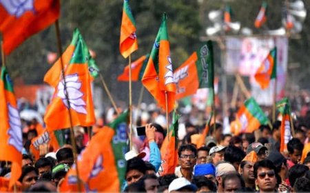 भाजपा में बदले सियासी समीकरण, निखिल सोनी की नियुक्ति से कई नेताओं के बदले राजनीतिक समीकरण