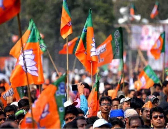 भाजपा में बदले सियासी समीकरण, निखिल सोनी की नियुक्ति से कई नेताओं के बदले राजनीतिक समीकरण